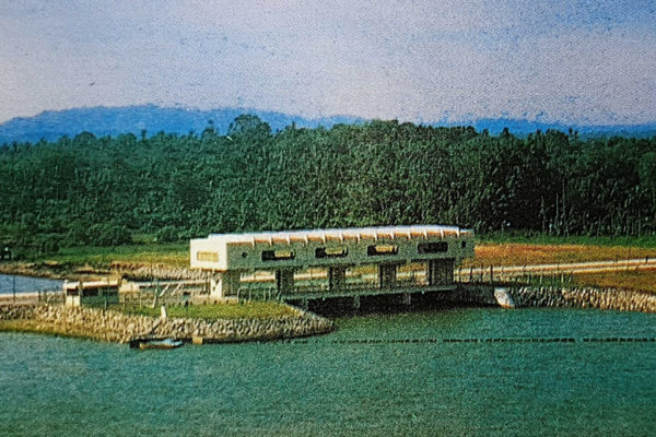 seletar3